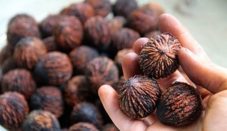 black walnut from pests