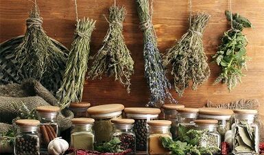Herbs for removing parasites from the body